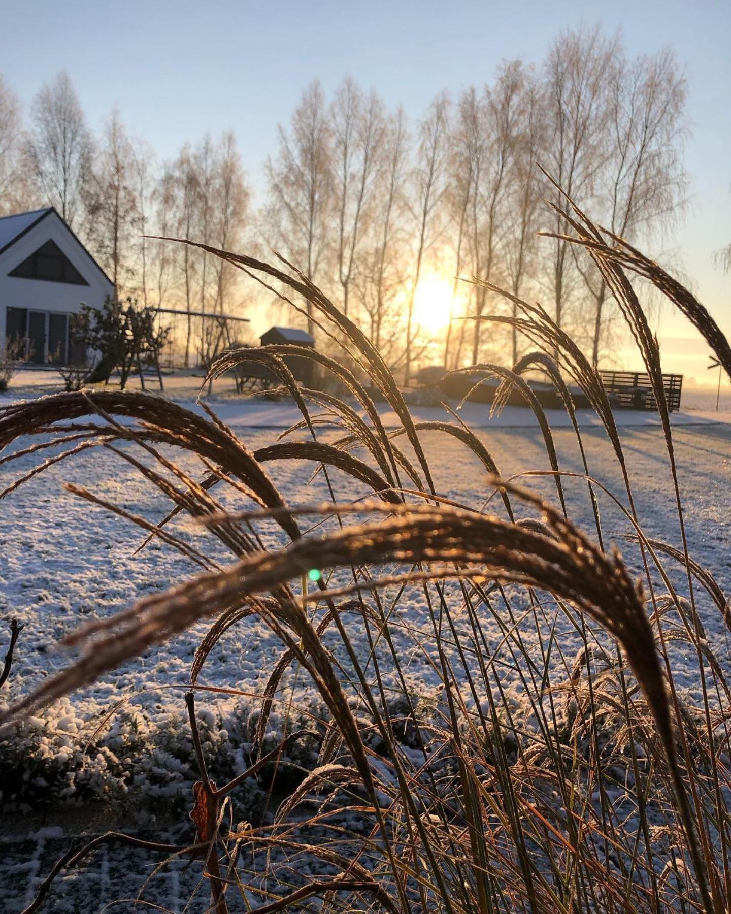 Domiko Villa Mikoszewo Exteriör bild